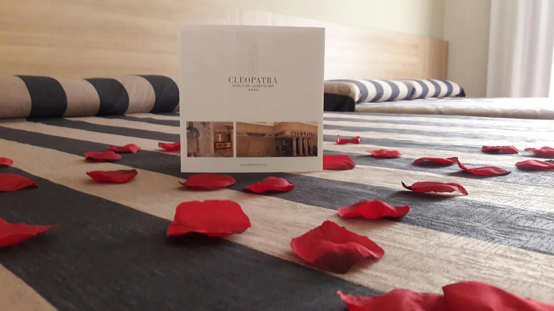 Cleopatra Spa Hotel Lloret de Mar